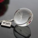 Dandelion necklace Dandelion Jewelry 25MM spherical pendant Necklace Necklaces