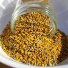 Siberian Natural Bee Pollen 250gr (0.55Pounds)-1750gr (3.86 Pounds) Summer 2014