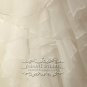 New Custom Desgin Organza Ball Gown Beading Sleeveless Sweetheart Wedding Dress
