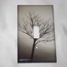 WEEPING WILLOW TREE Single Light Switch Plate Cover