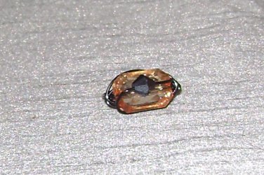 COPPER BLACK Wire Wrapped Ring- Size 8