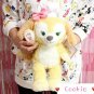 Wonder Disneyland Cookie dog 17â Doll plush duffy and gelatoni friends