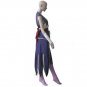 CosplayDiy Women's Outfit Fairy Tail Titania Erza Costume Cosplay For Halloween Party