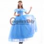 Women's Blue Princess Dress Cinderella Dress Adult Cosplay Party Dress Evening Dress