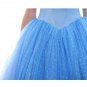 Women's Blue Princess Dress Cinderella Dress Adult Cosplay Party Dress Evening Dress