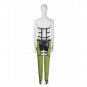 Sword Art Online Asada Shino Outfit Costume Cosplay Adult's Halloween Carnival Cosplay Costume
