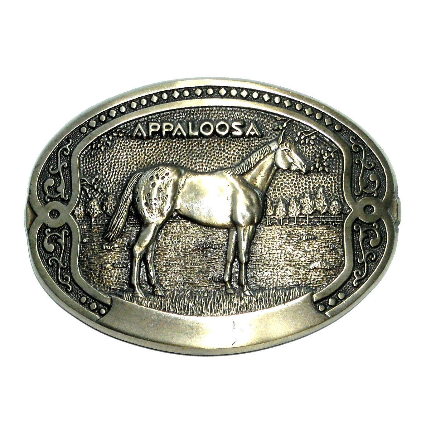 appaloosa belt buckles