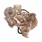 Texas 3D Vintage 1976 Bergamot Brass Belt Buckle