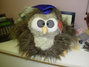 graduation owl plush