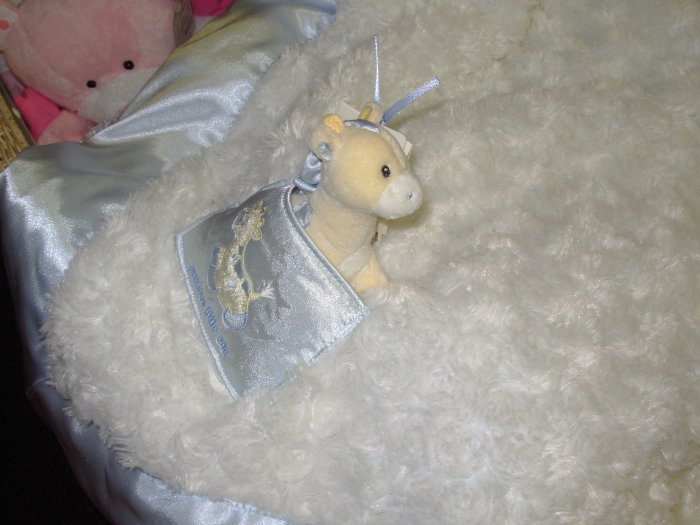 gund giraffe blanket