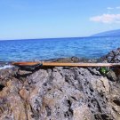 VELA WOODEN IROKO SPEARGUN HANDMADE 115cm NOW 1000$! LIFE WARRANTY !