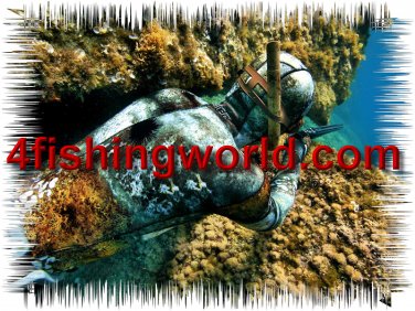 WETSUIT Omer Camo 3D XLARGE 3mm SIZE 6 20$ Shipping Worldwide!