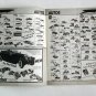 The Squadron Shop Mail Order Catalogue Winter 1975 No. 9