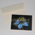 Soft Thorns - Original Award Winning Fine Art Photograph Notecard