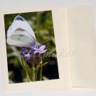 White Butterfly - Original Fine Art Photograph on Notecard