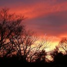 Fire In The Sky - Original Fine Art Photography