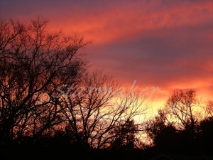 Fire In The Sky - Original Fine Art Photography