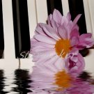 Sounds of Nature - Oriiginal Award-Winning Fine Art Photograph