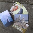 The Celtic Wolf's Howl deck OUTSIDE THE UK