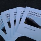 In the Shadow of the Celtic Giants PRINT OUTSIDE UK