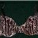 BNWT LEOPARD BRA SIZE 34B