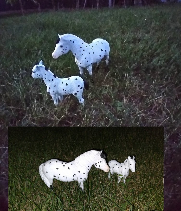 Breyer Custom Misty and Storm appaloosa