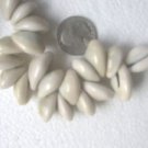 40 NATURAL SHELLS FROM 18 to 20mmX15mm SHELL BEADS ~Z29