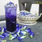 Butterfly Pea Dok Anchan Clitoria ternatea Antioxidant Dry tea Leaves 25 grams