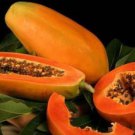20 SEEDS FRESH BIG PAPAYA LOW SUGAR FOR DIET TROPICAL FRUIT SUPER JUMBO NON GMO