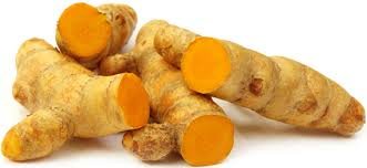 10xSMALL Turmeric RHIZOMES Herb Plant Culinary Curcuma Longa Curcumin Spice