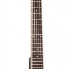 Washburn B6 6-string Open Back Guitar Banjo B6