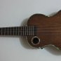 Boulder Creek Tenor Acoustic/Electric Ukulele EUT-5NG Solid Mahagony Top