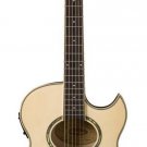 Washburn Mini Jumbo Festival Acoustic/Electric Guitar Natural EA20