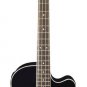 Oscar Schmidt OB100 Acoustic/Electric Bass with Gig Bag
