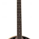 Washburn B9 Mahogany Body 5 String Remo Head Banjo