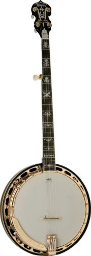 Washburn Five String Remo Head Flame Maple B17K with  Hard Shell Case
