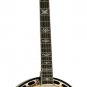 Washburn Five String Remo Head Flame Maple B17K with  Hard Shell Case