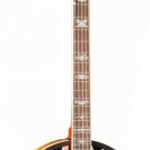 Washburn Five String Remo Head  Mahagony Body Banjo B10