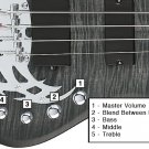 New Traben Array 4 string Electric Bass, Black wash
