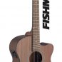 James Neligan Deveron series, electro-acoustic auditorium guitar w/ solid mahoga