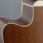 James Neligan Asyla Series, Dreadnought Acoustic/ Electric Cutaway, solid Spruce