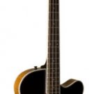 Washburn Acoustic/Electric  Bass w/GB44 bag AB40VSK