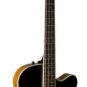 Washburn Acoustic/Electric  Bass w/GB44 bag AB40VSK