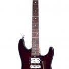 Floyd Rose International Series ISOT3 Electric Guitar