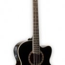Jay Turser JTAB-650 4 String Acoustic Bass , 4 band EQ active pickup