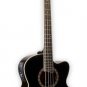 Jay Turser JTAB-650 4 String Acoustic Bass , 4 band EQ active pickup