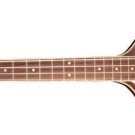 Jay Turser JTB-2B-LH-VS Violin Shaped 4 String Bass Vintage Burst Left Handed