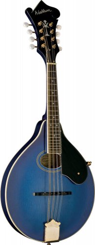 Washburn M1SDLTBL A-Style Mandolin Trans Blue