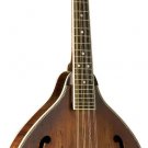 Washburn Vintage A Style Mandolin M116SWK