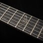 Washburn Parallaxe carved top w/EMGs Flame trans black matte PXM20EFTBM